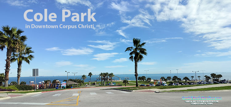 Cole Park in Corpus Christi, Texas.