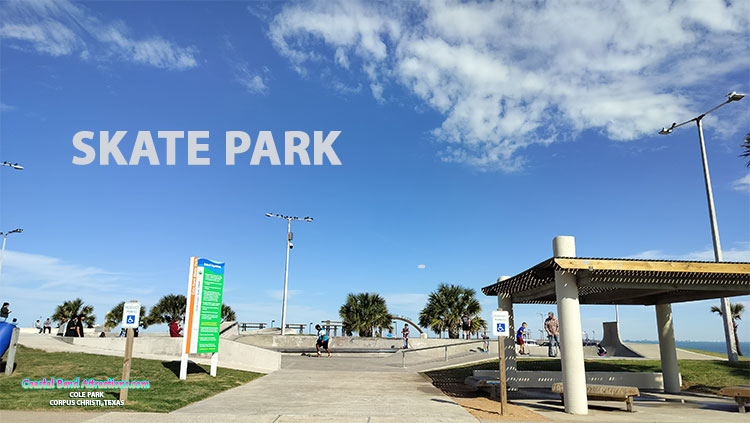 Cole Park in Corpus Christi, Texas.