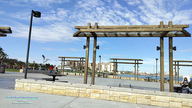 Cole Park in Corpus Christi, Texas.