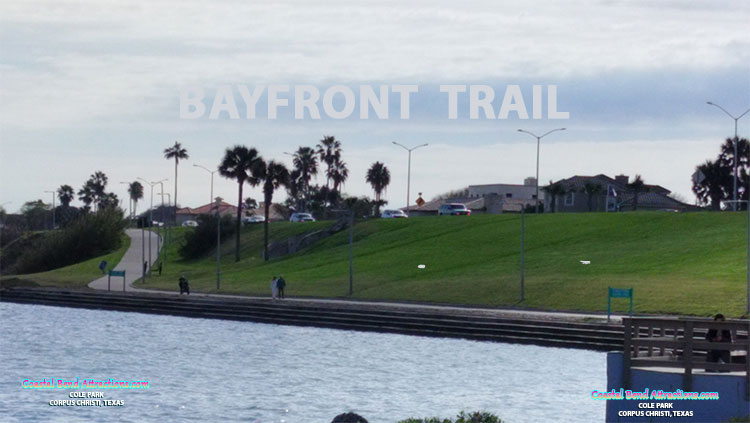 Cole Park in Corpus Christi, Texas.