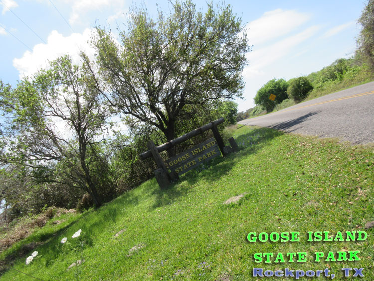 Goose Island State Park - Texas Coastal Bend Attractions