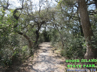 Goose Island State Park - Texas Coastal Bend Attractions