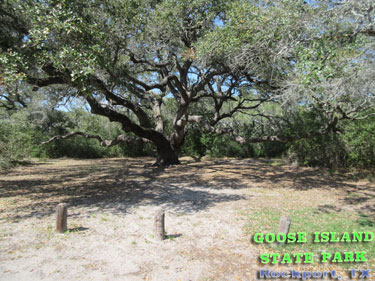 Goose Island State Park - Texas Coastal Bend Attractions