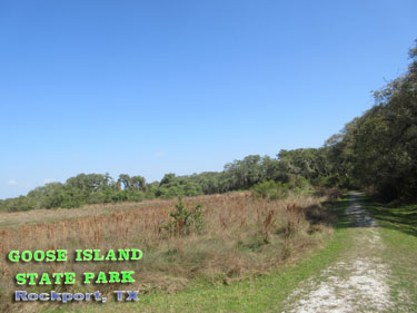 Goose Island State Park - Texas Coastal Bend Attractions