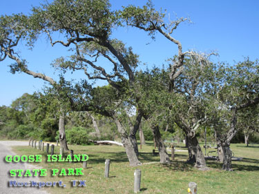 Goose Island State Park - Texas Coastal Bend Attractions