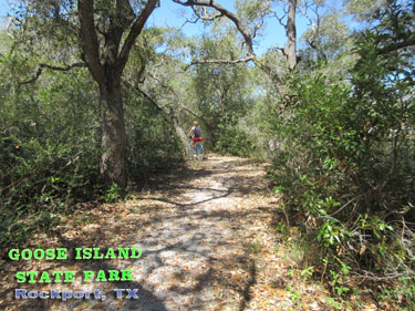 Goose Island State Park - Texas Coastal Bend Attractions