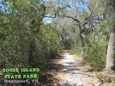 Goose Island State Park - Texas Coastal Bend Attractions