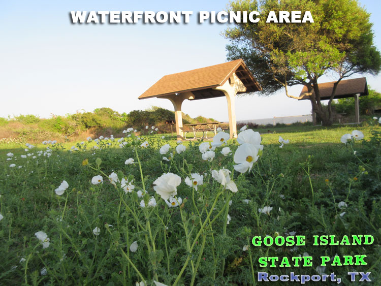 Goose Island State Park - Texas Coastal Bend Attractions