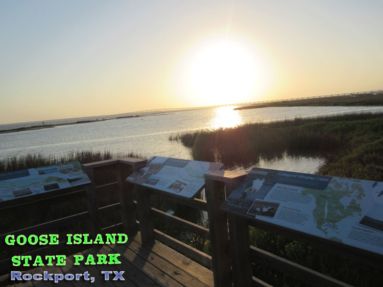 Goose Island State Park - Texas Coastal Bend Attractions