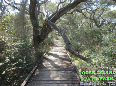 Goose Island State Park - Texas Coastal Bend Attractions