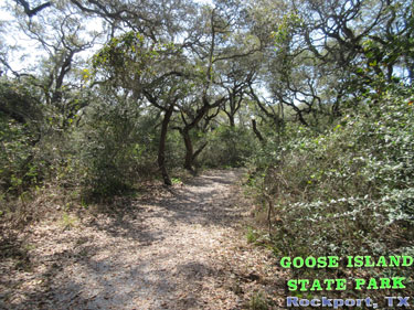 Goose Island State Park - Texas Coastal Bend Attractions