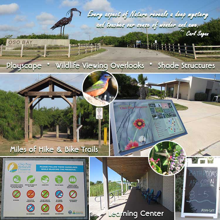 Oso Bay Wetlands and Learning Center in Corpus Christi, TX.