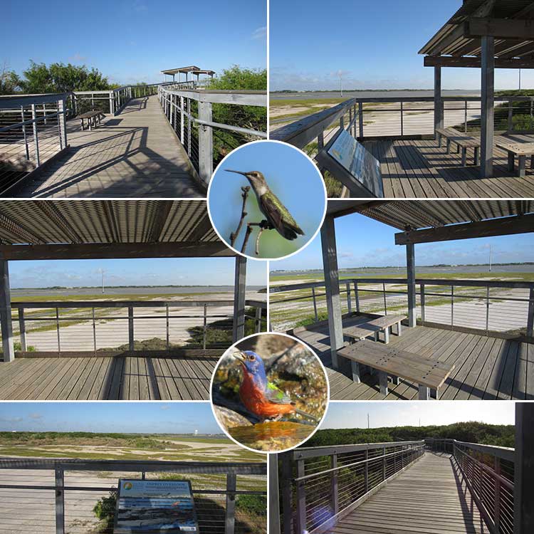 Oso Bay Wetlands and Learning Center in Corpus Christi, TX.