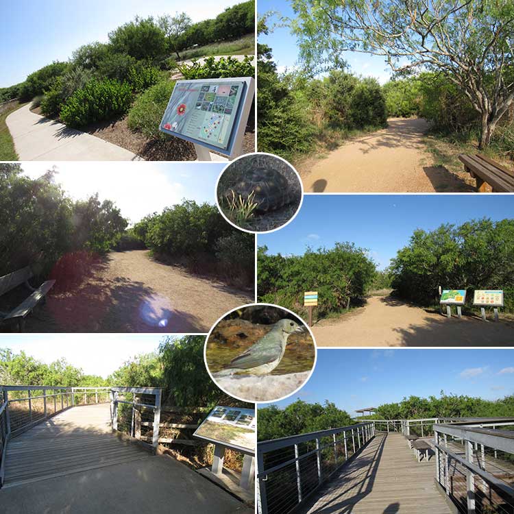 Oso Bay Wetlands and Learning Center in Corpus Christi, TX.