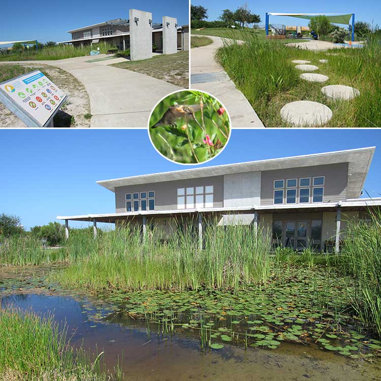 Oso Bay Wetlands and Learning Center in Corpus Christi, TX.