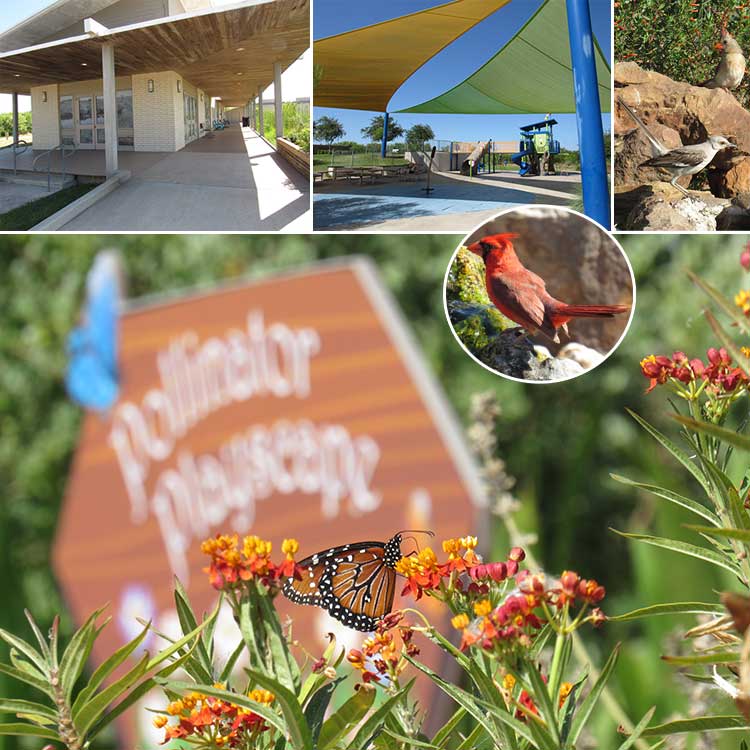 Oso Bay Wetlands and Learning Center in Corpus Christi, TX.