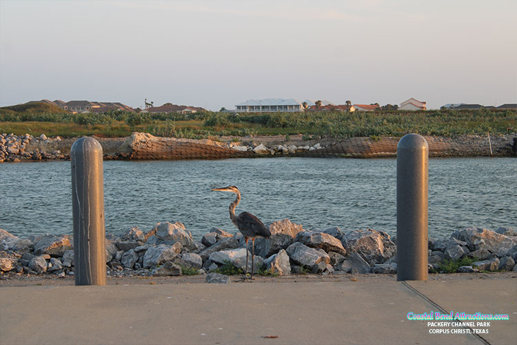 Packery Channel & Jetty in Corpus Christi, Texas.