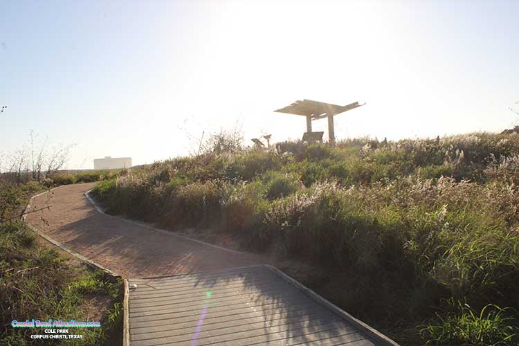 Wetlands Education Center in Port Aransas, Texas.