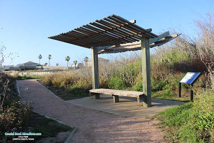 Wetlands Education Center in Port Aransas, Texas.