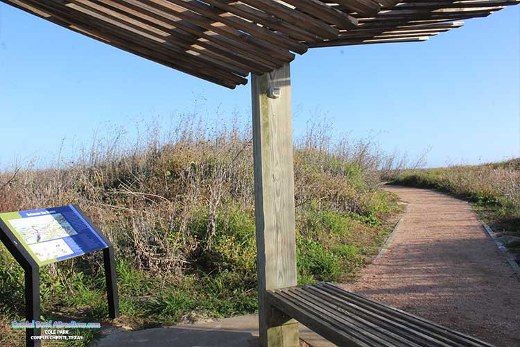 Wetlands Education Center in Port Aransas, Texas.