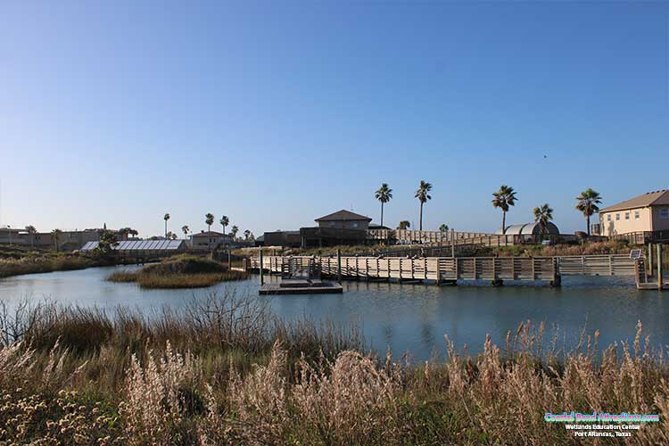 Wetlands Education Center in Port Aransas, Texas.