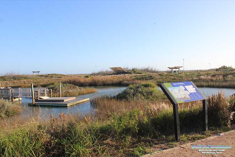 Wetlands Education Center in Port Aransas, Texas.