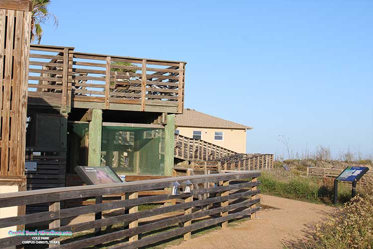 Wetlands Education Center in Port Aransas, Texas.