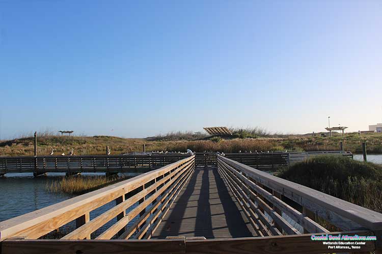 Wetlands Education Center in Port Aransas, Texas.