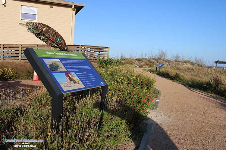 Wetlands Education Center in Port Aransas, Texas.