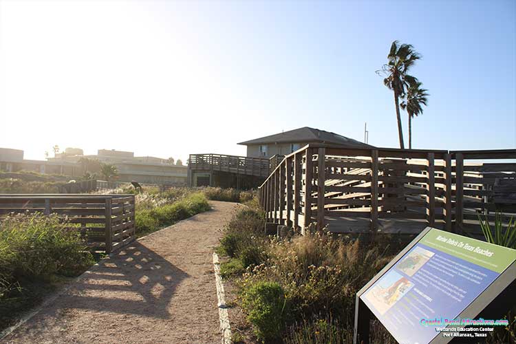 Wetlands Education Center in Port Aransas, Texas.