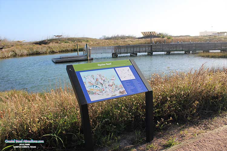 Wetlands Education Center in Port Aransas, Texas.